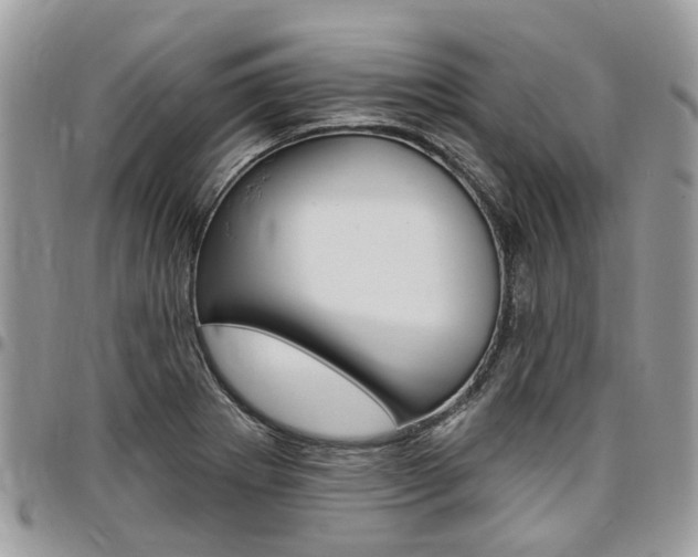 X0000096971273200802080915