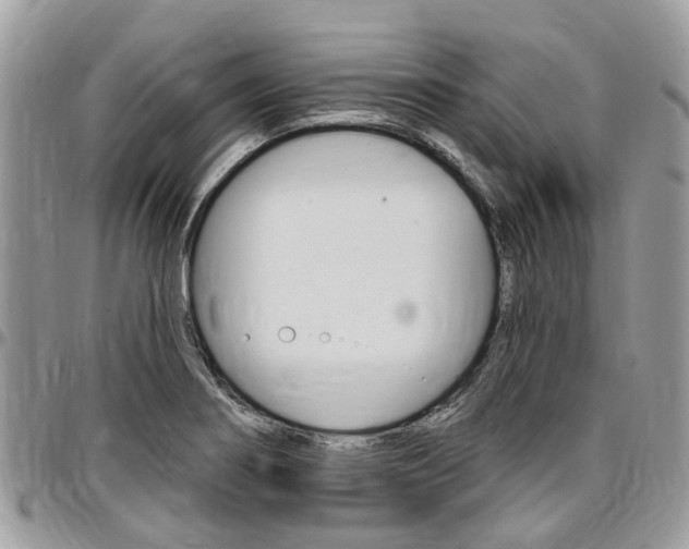 X0000096971274200802080915