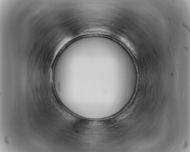 X0000096971275200802080915