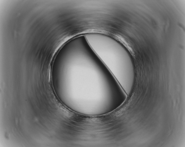 X0000096971276200802080915