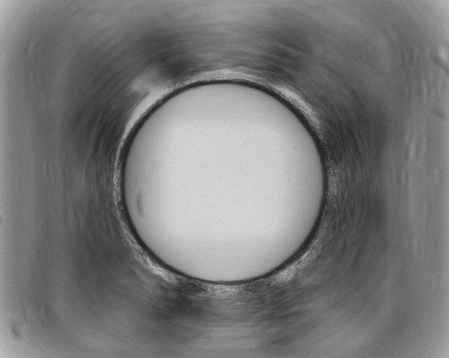 X0000096971278200802080915