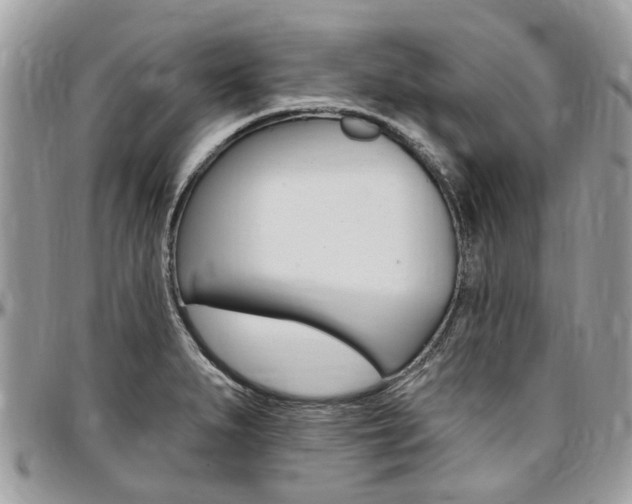 X0000096971279200802080915