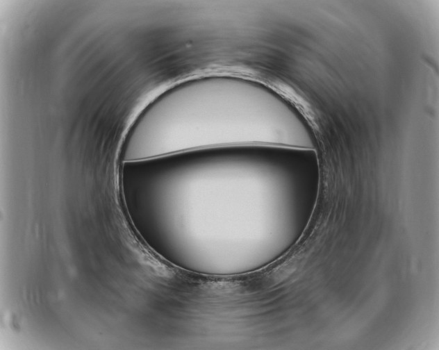 X0000096971280200802080915