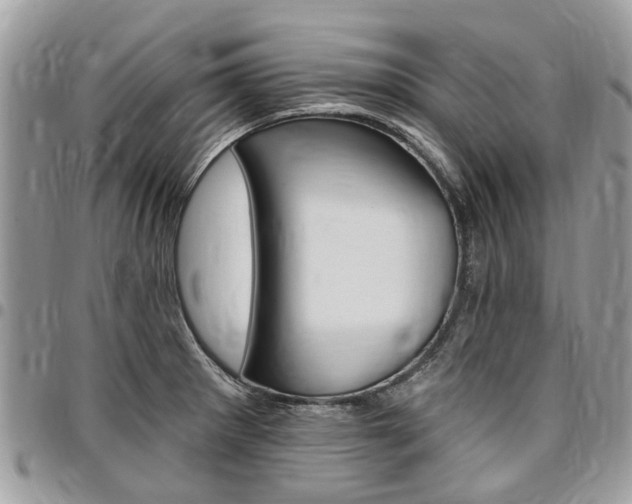 X0000096971281200802080915