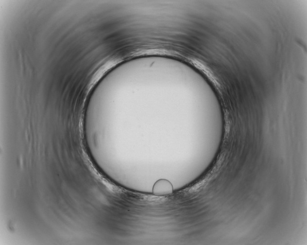 X0000096971282200802080914