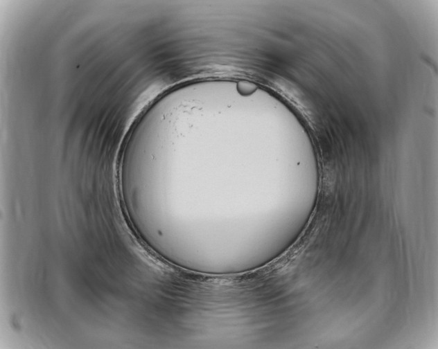 X0000096971283200802080914