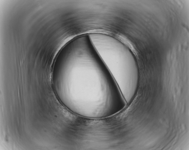 X0000096971284200802080914