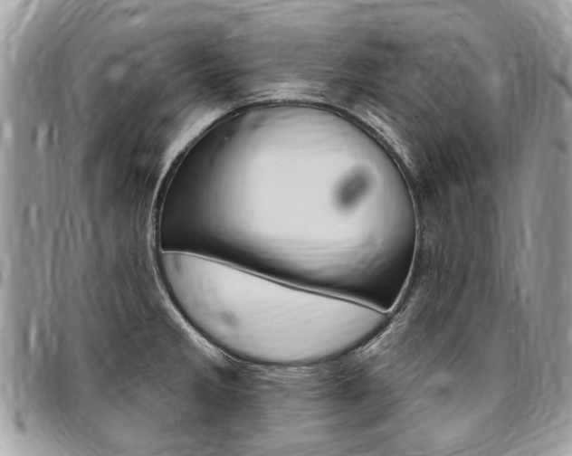 X0000096971285200802080914