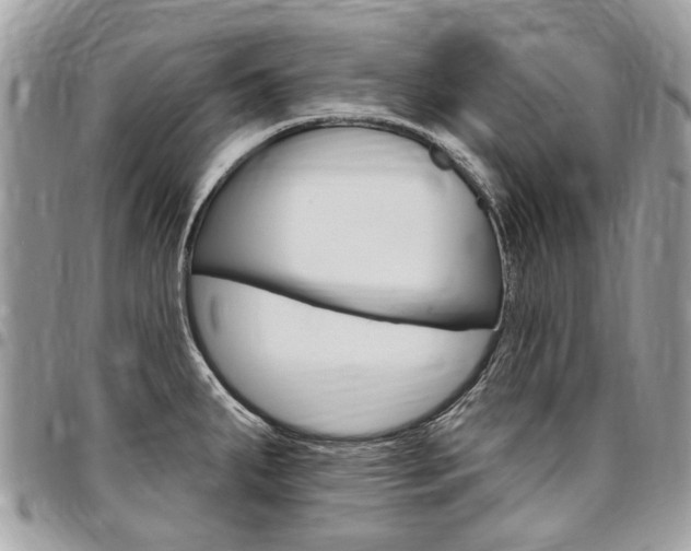 X0000096971287200802080914