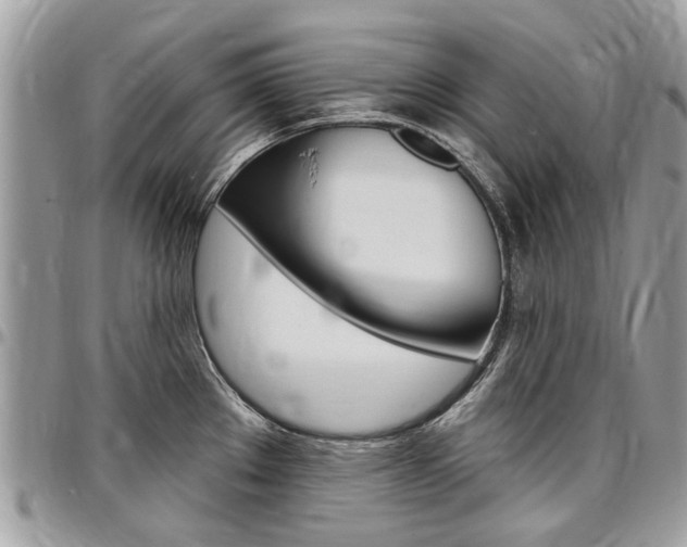 X0000096971289200802080914