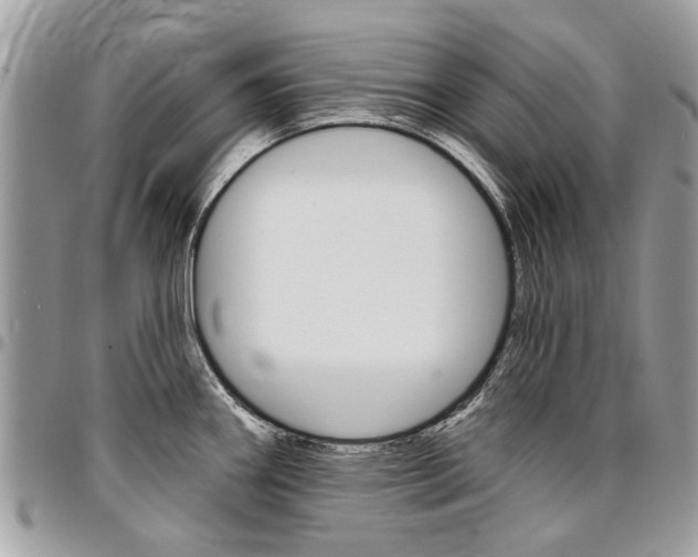 X0000096971290200802080914