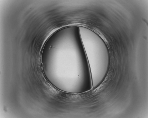 X0000096971292200802080914