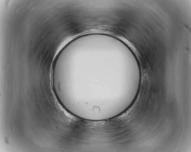 X0000096971294200802080914
