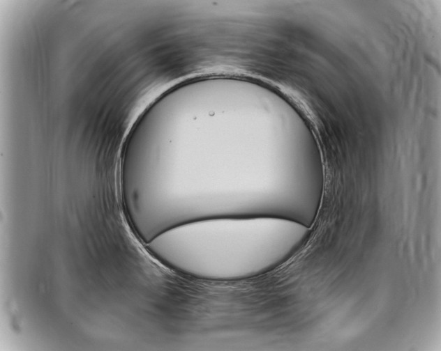 X0000096971295200802080914