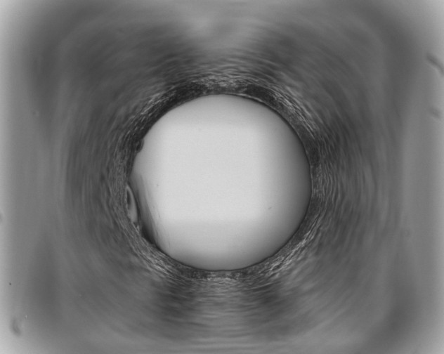 X0000096971297200802080914