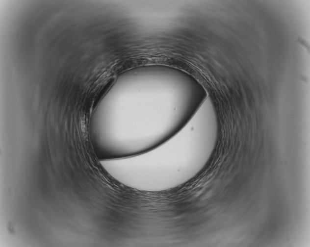 X0000096971298200802080914