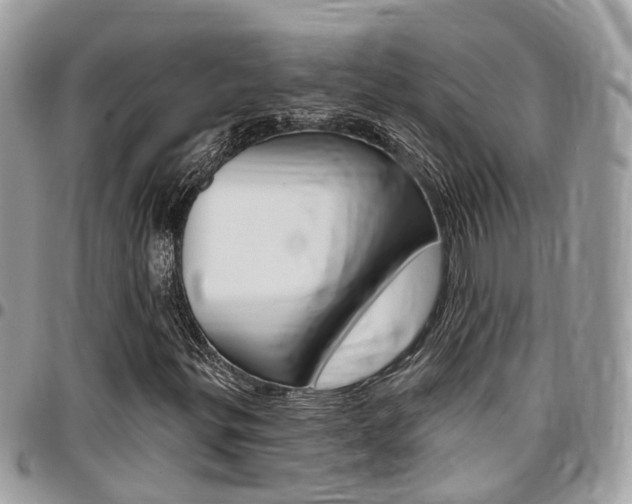 X0000096971299200802080914