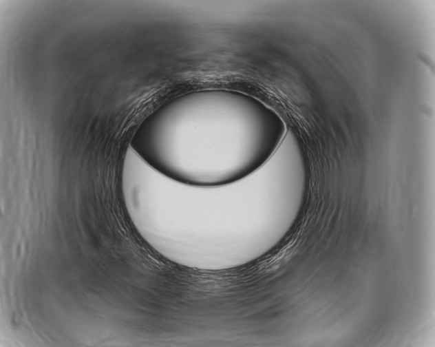 X0000096971300200802080914