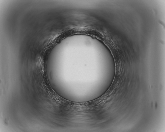 X0000096971301200802080914