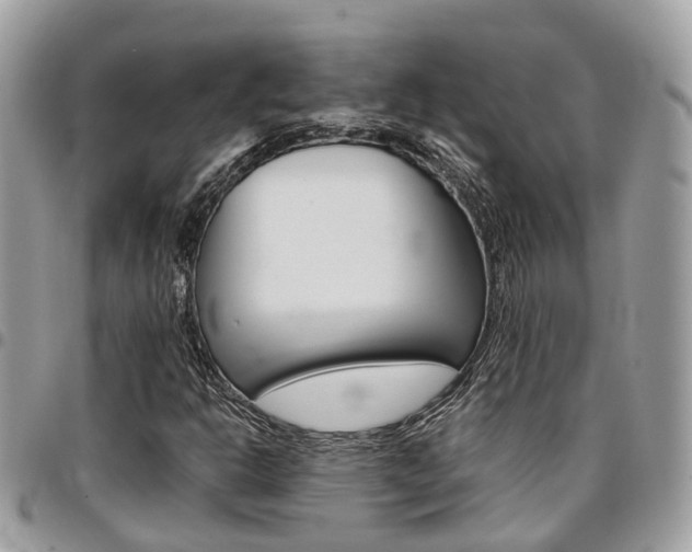 X0000096971302200802080914