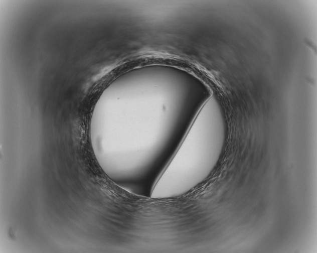 X0000096971303200802080914