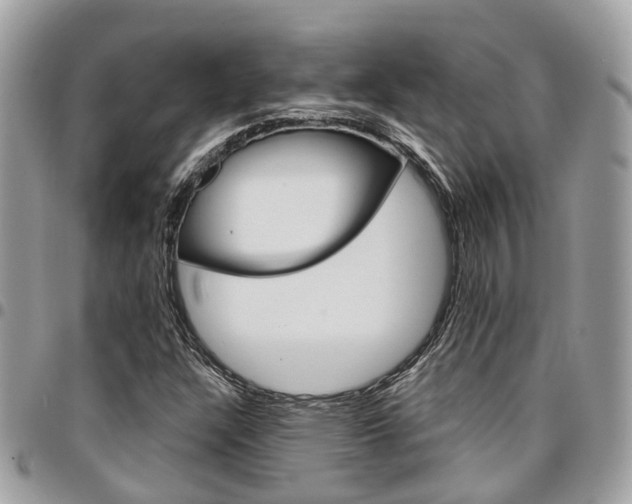 X0000096971304200802080914