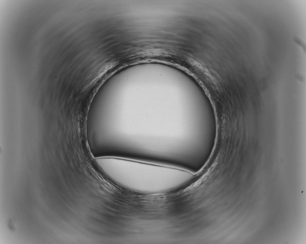 X0000096971305200802080914