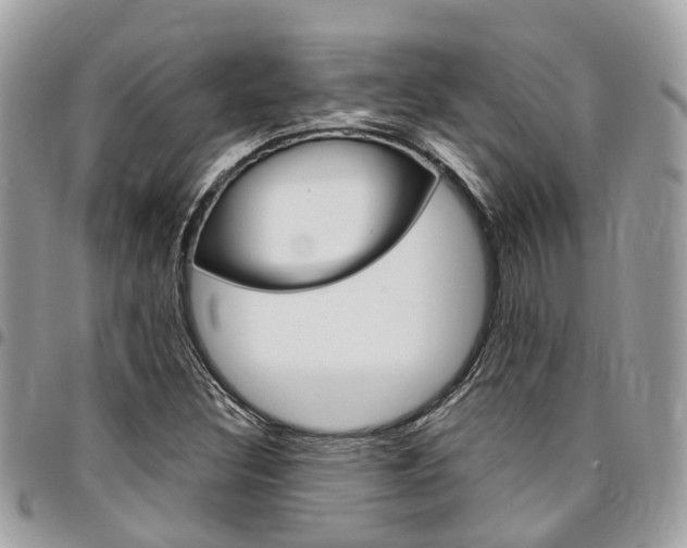 X0000096971308200802080914