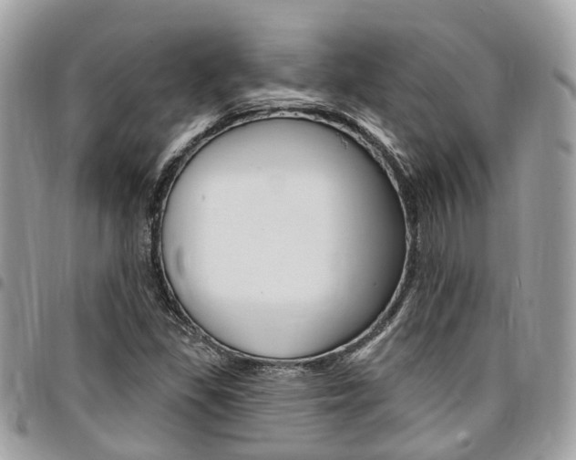 X0000096971309200802080914