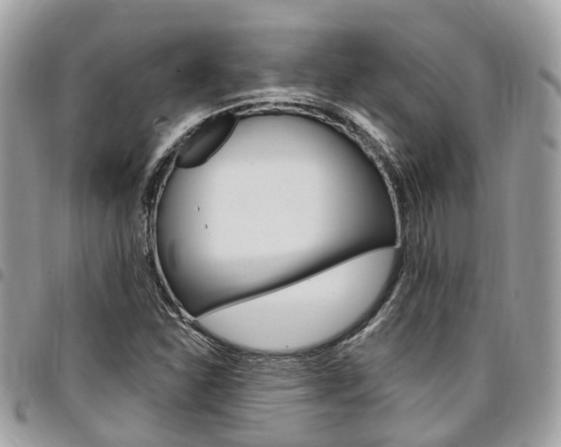 X0000096971310200802080914