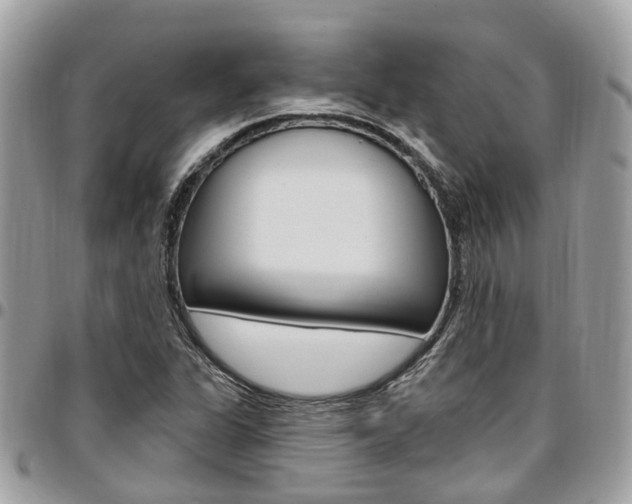 X0000096971311200802080914