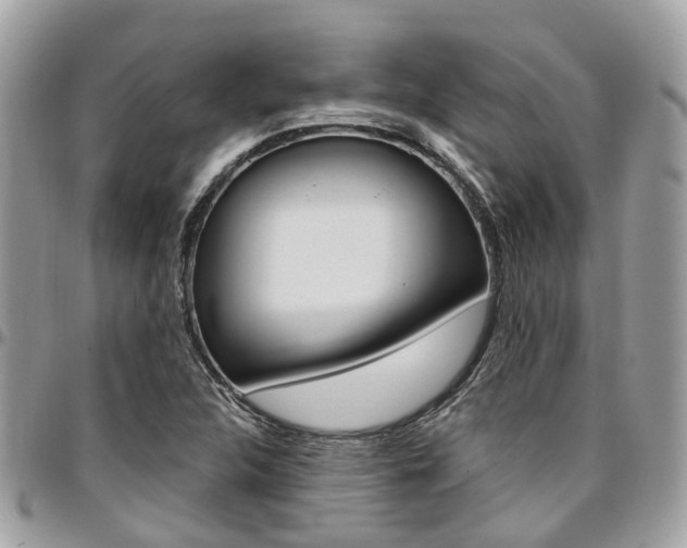 X0000096971312200802080914