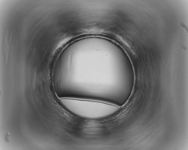 X0000096971315200802080914