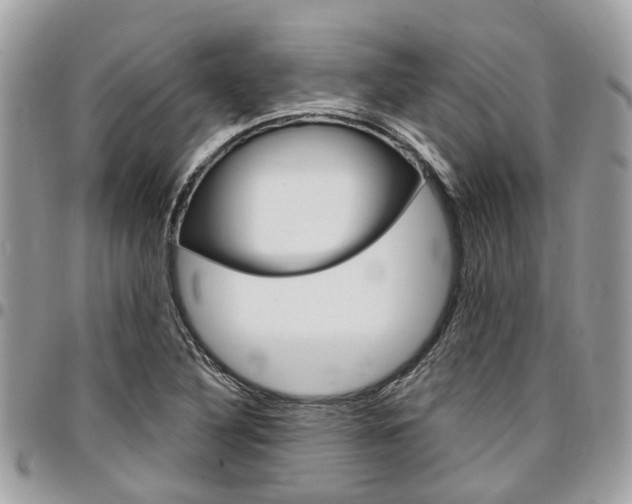 X0000096971316200802080914