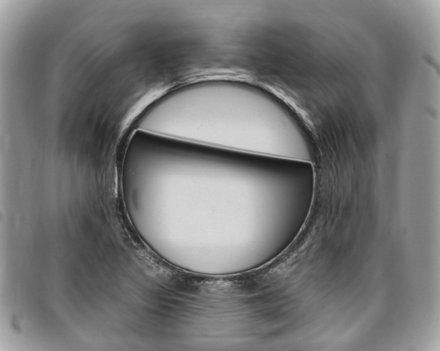 X0000096971317200802080914