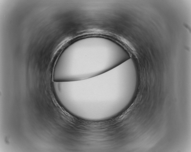 X0000096971318200802080914