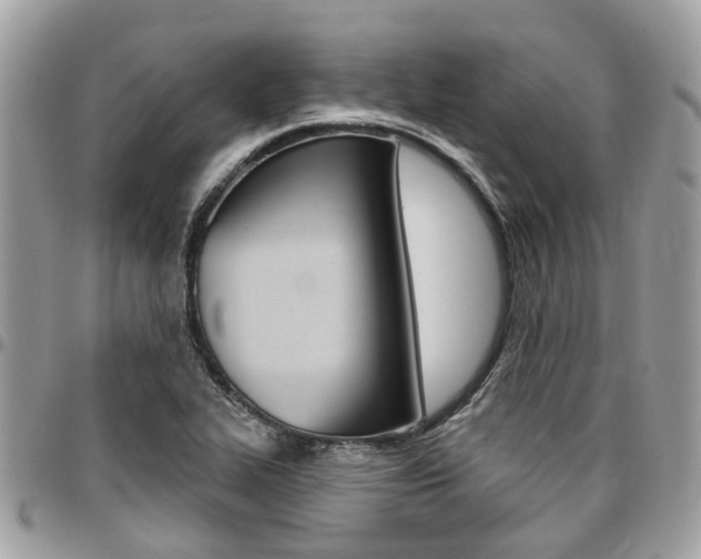 X0000096971319200802080914