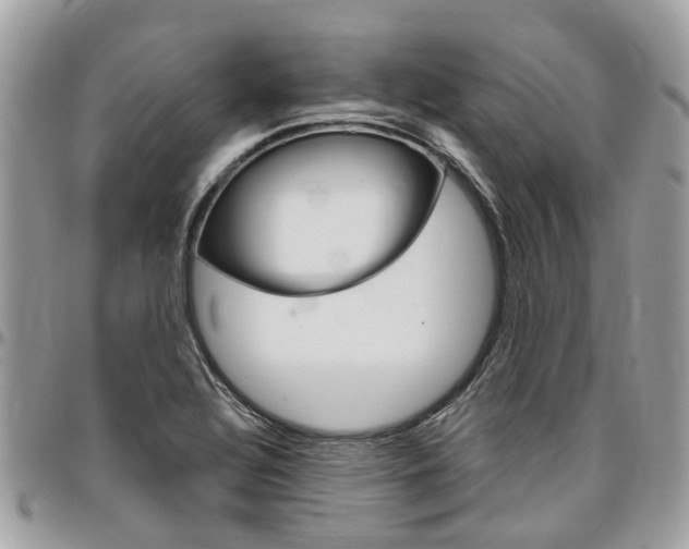 X0000096971320200802080914