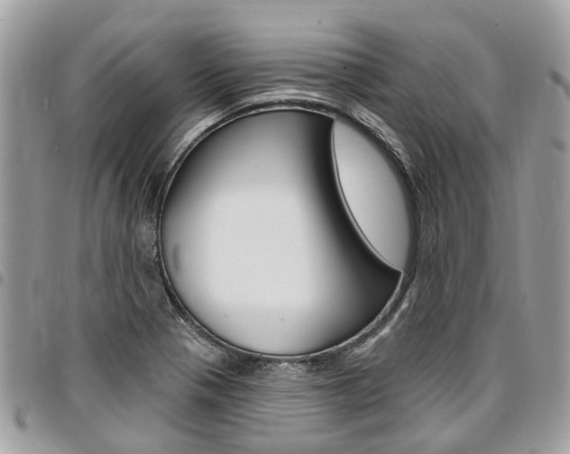 X0000096971321200802080914