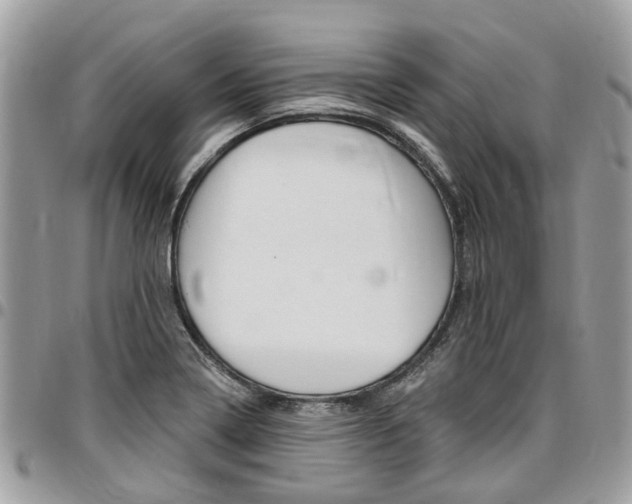 X0000096971322200802080914