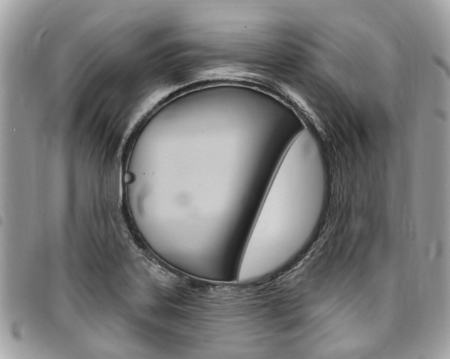 X0000096971323200802080914