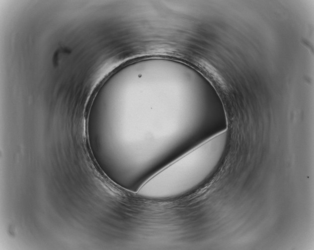 X0000096971324200802080914