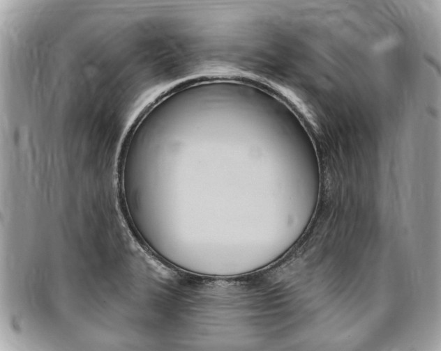 X0000096971327200802080914