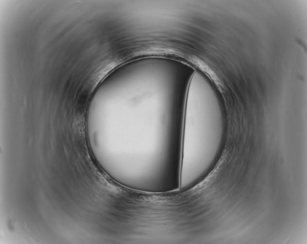 X0000096971329200802080914