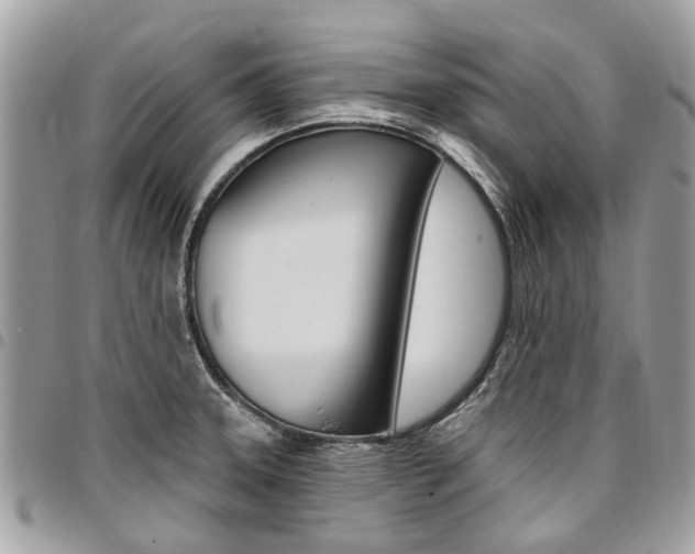 X0000096971331200802080914