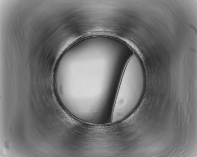 X0000096971333200802080914