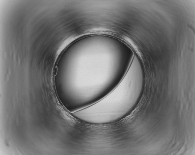 X0000096971336200802080914
