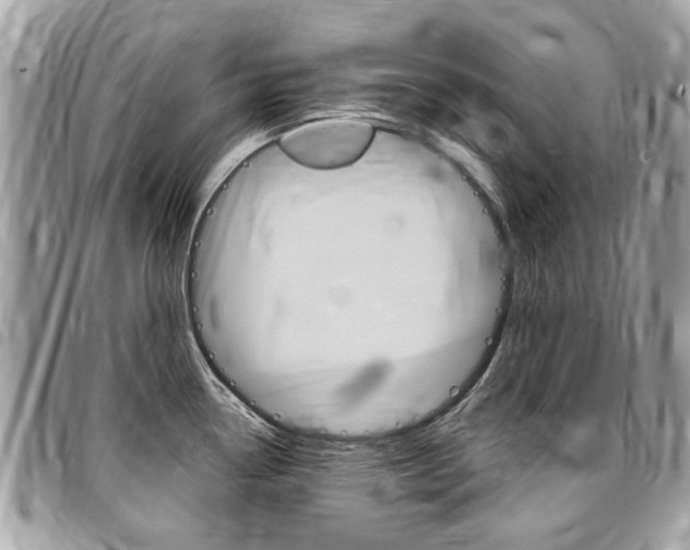 X0000096971338200802080914