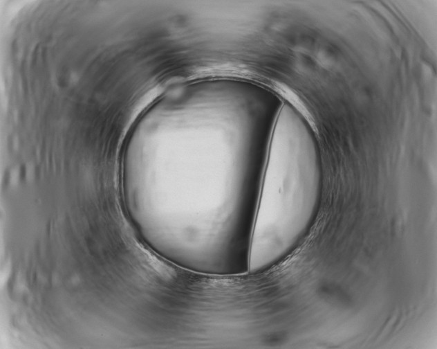 X0000096971339200802080914
