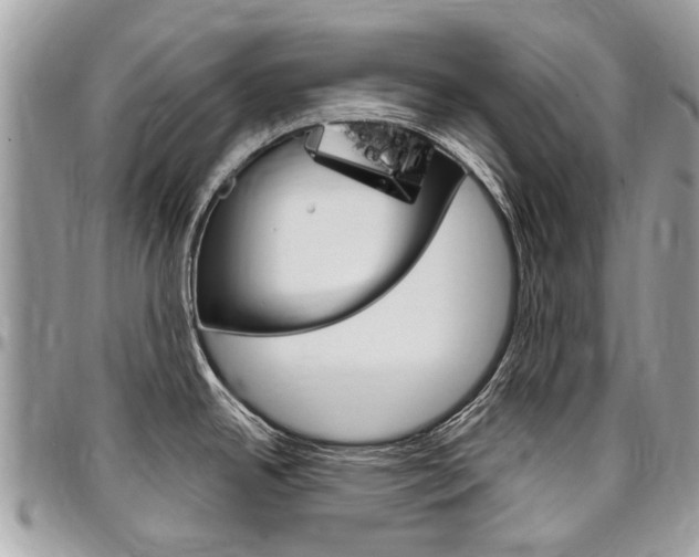 X0000096971342200802080914